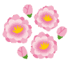 Ԃ̃CXg