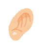 ̃CXg